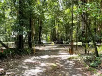 Wait-a-While Eco Retreat Hotels in Daintree