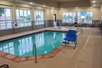 Comfort Inn & Suites Artesia - spa