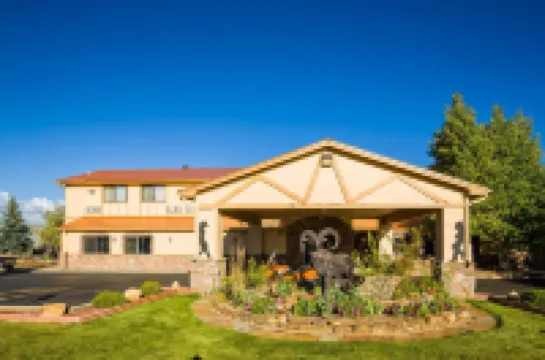 アルパイン イン & スイーツ