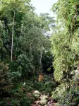 Lingkung Park Tetebatu