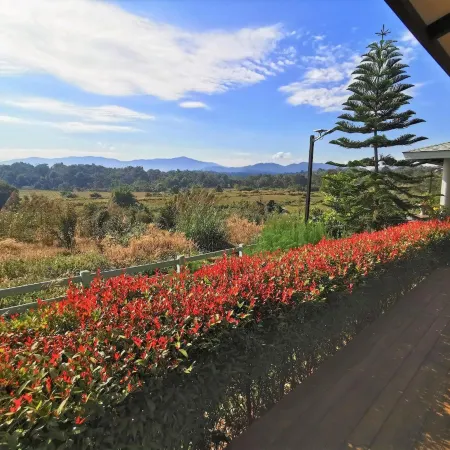 OXY Resort Chiang Rai