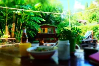 Wiki Hostel Colive Hotels in Zagarolo