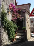 B&B Borgo Antico - homestay