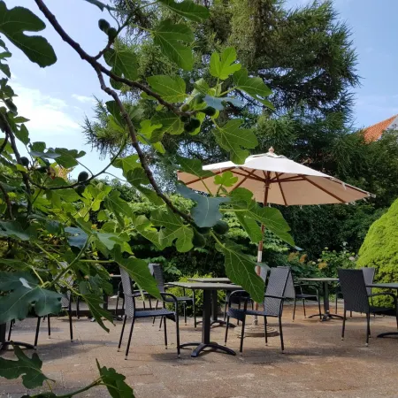 Hotel Sandvig Havn