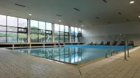 弗萊徹公園酒店奧爾斯貝格-溫特貝格 - 泳池