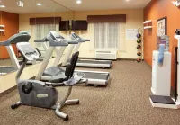 Holiday Inn Express & Suites WILLOWS by IHG - Gym