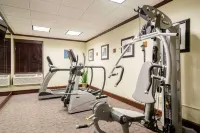 Comfort Inn & Suites Newark - Wilmington - palestra
