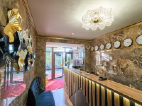Hotel Ambassador Hotels in Sochi