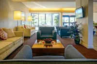 베스트 웨스턴 요트 하버 호텔