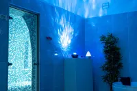 大家的健康診所和度假村 - SPA