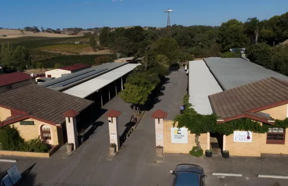 安格斯頓葡萄園汽車旅館