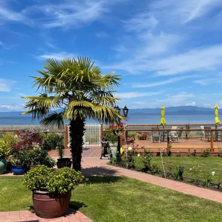 Buena Vista by the Sea