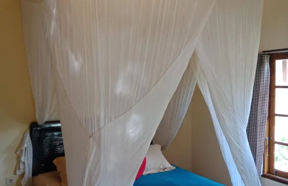 阿內爾簡易別墅