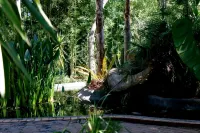 Summerview Guest Lodge