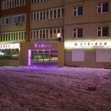 Чайка
