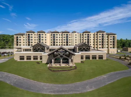 YO1 Longevity and Health Resorts