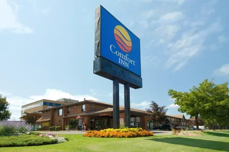 Comfort Inn Отели рядом с достопримечательностью «Заповедник Фифти Пойнт»
