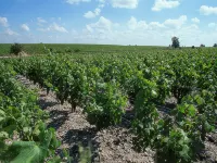 ibis budget Marmande Hotels in Lamothe-Landerron