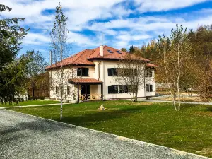 Pensiunea Negoiu