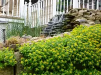 Trickling Waters Retreat - Homestays