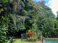 Malanda Lodge Hotels in Malanda