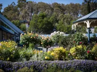 ウィローズ モーテル ゴールバーン ゴールバーンのホテル