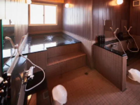 伊勢原市精選酒店 伊勢原市酒店