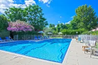 Chez Walter - Pool