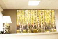 Country Lodge Motor Inn