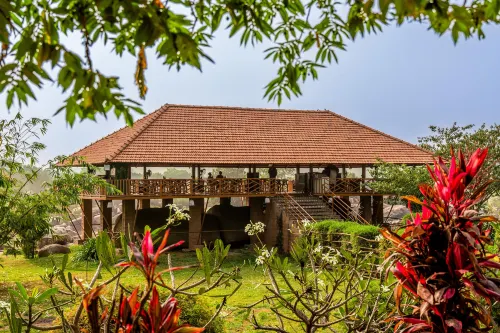 Leo Wooden Resort - bar