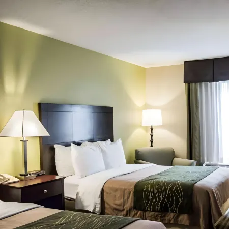 Comfort Inn & Suites St Pete - Clearwater International Airport