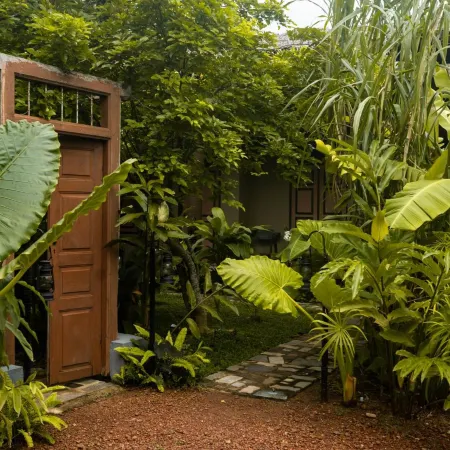 Banana Bunks Mirissa