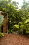 Banana Bunks Mirissa - Hostels
