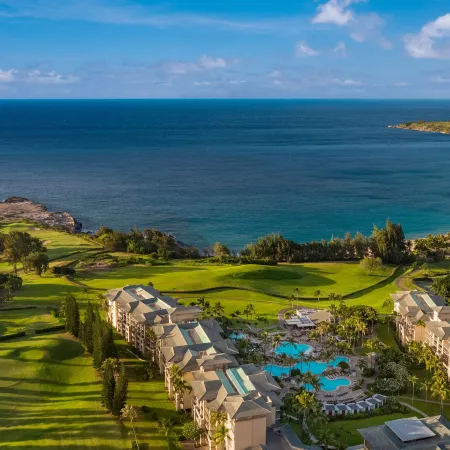 The Ritz-Carlton Maui, Kapalua