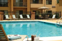 Courtyard Atlanta Executive Park/Emory - Pool