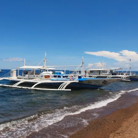 Vida Homes Condo Resort Dauin