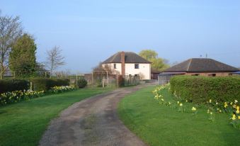 Pointers Guest House