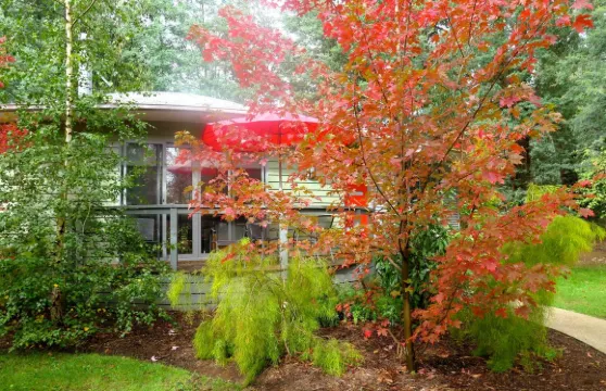 達林普爾斯來賓小屋酒店