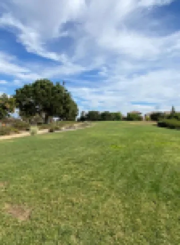 โอลีฟ กล็น