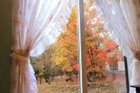 Yatsugatake Guest House Matsuda House - Vacation Stay 11086