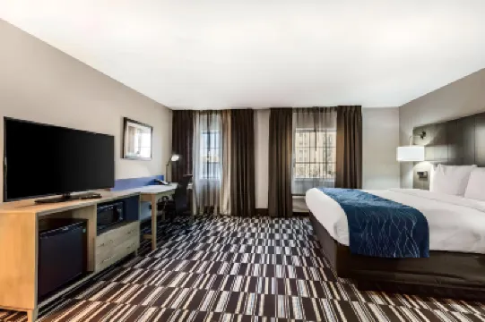 Comfort Inn Memphis Airport West Hotels near Memphis International Airport