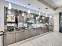 Platinum Inn & Suites Webster