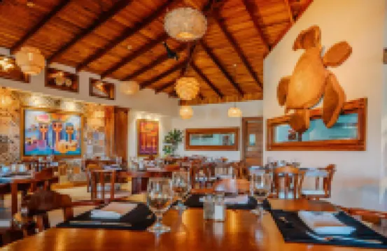 波科波科酒店 - 哥斯達黎加