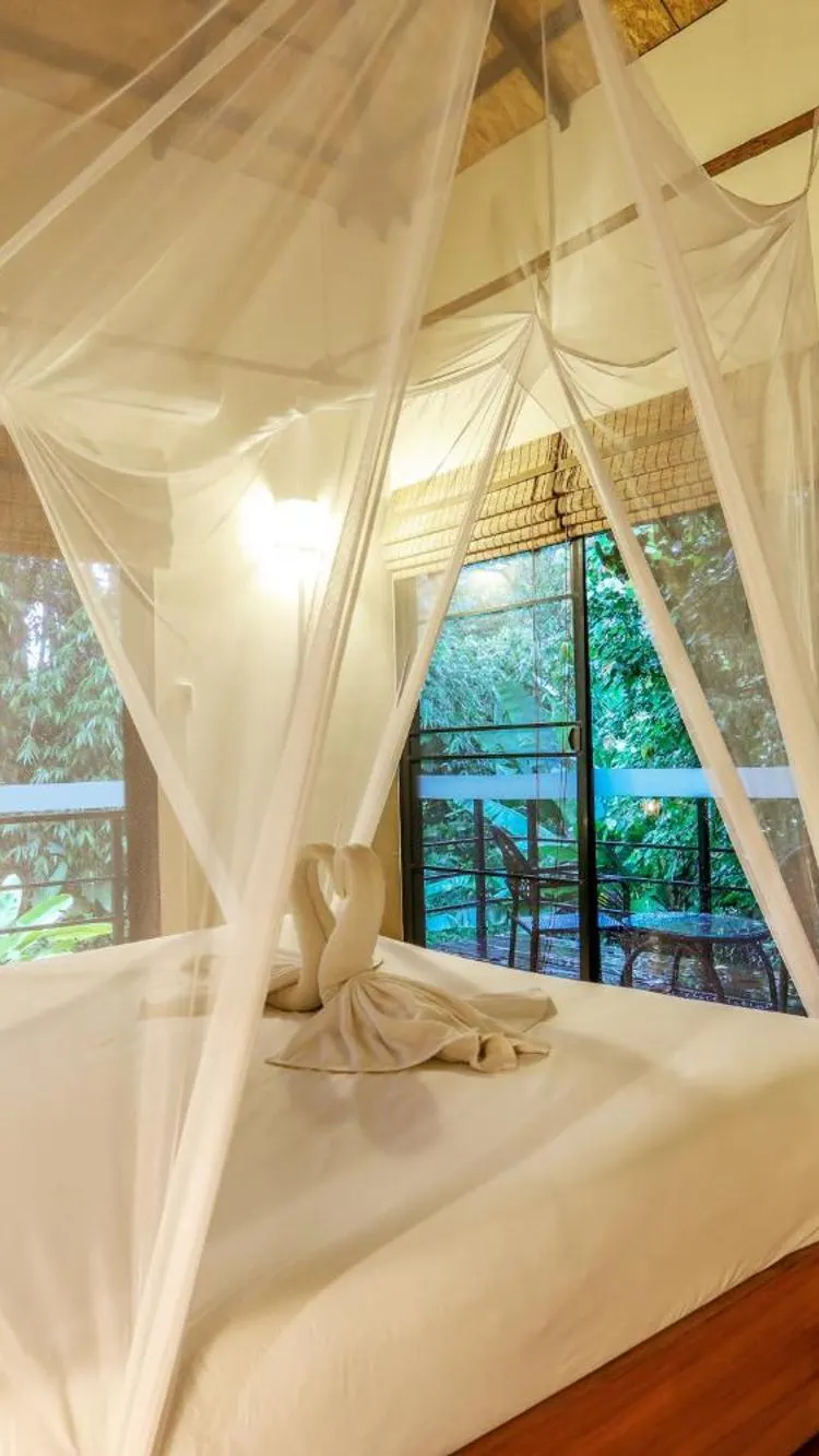 Elevated Rainforest Bungalow