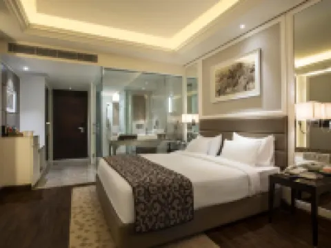 Singhania Sarovar Portico Hotels in Raipur