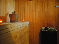 Regal Pacific Hotel Santiago - spa