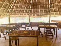 The Imagination Auroville