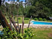 Casa Do Cribeiro - Pools