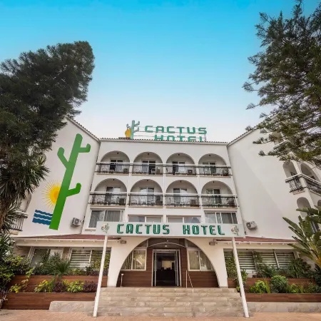 Cactus