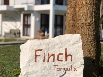Finch Tangalle